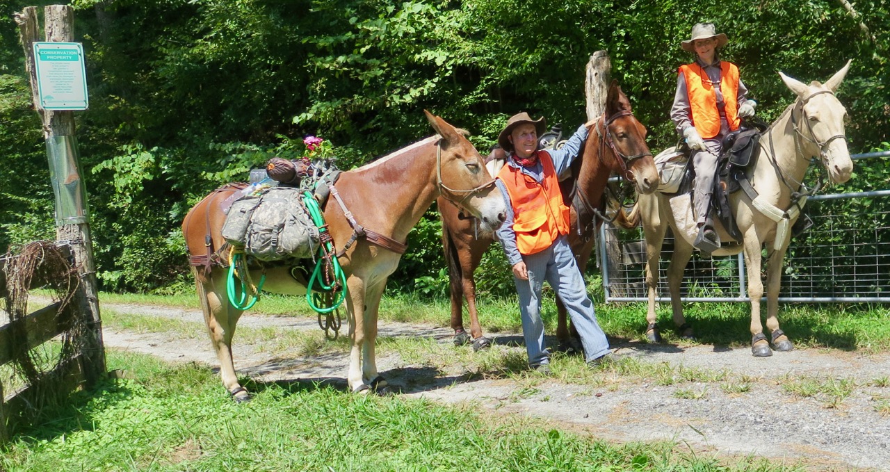 bernie harberts julia carpenter, riverearth.com horse mule trail ride happy valley fiddlers convention