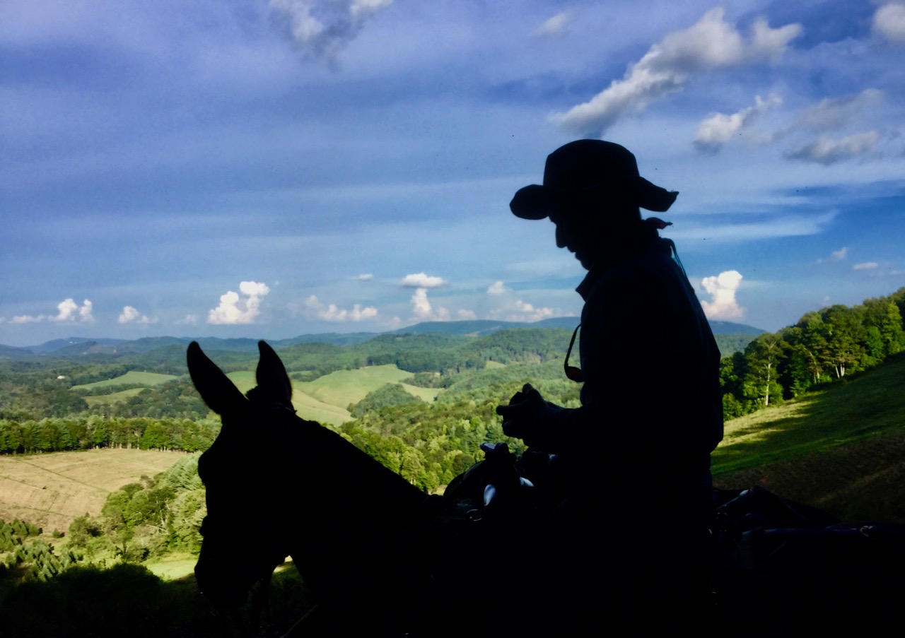 bernie harberts julia caprenter missy kincaid photo mule trail ride horse camping