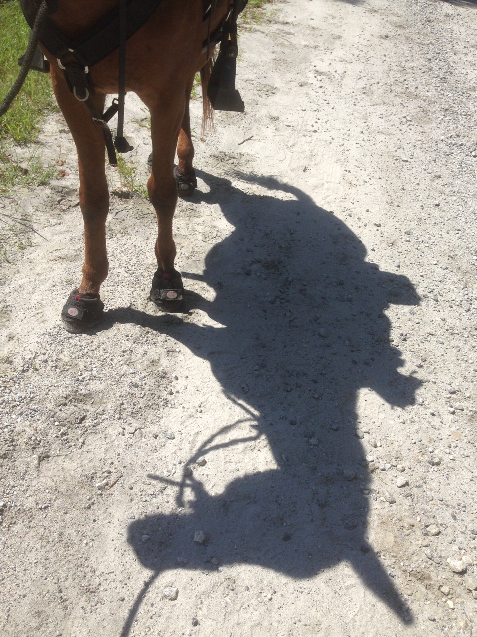 bernie harberts julia caprenter riverearth.com horse camp tent mule trail ride shadow