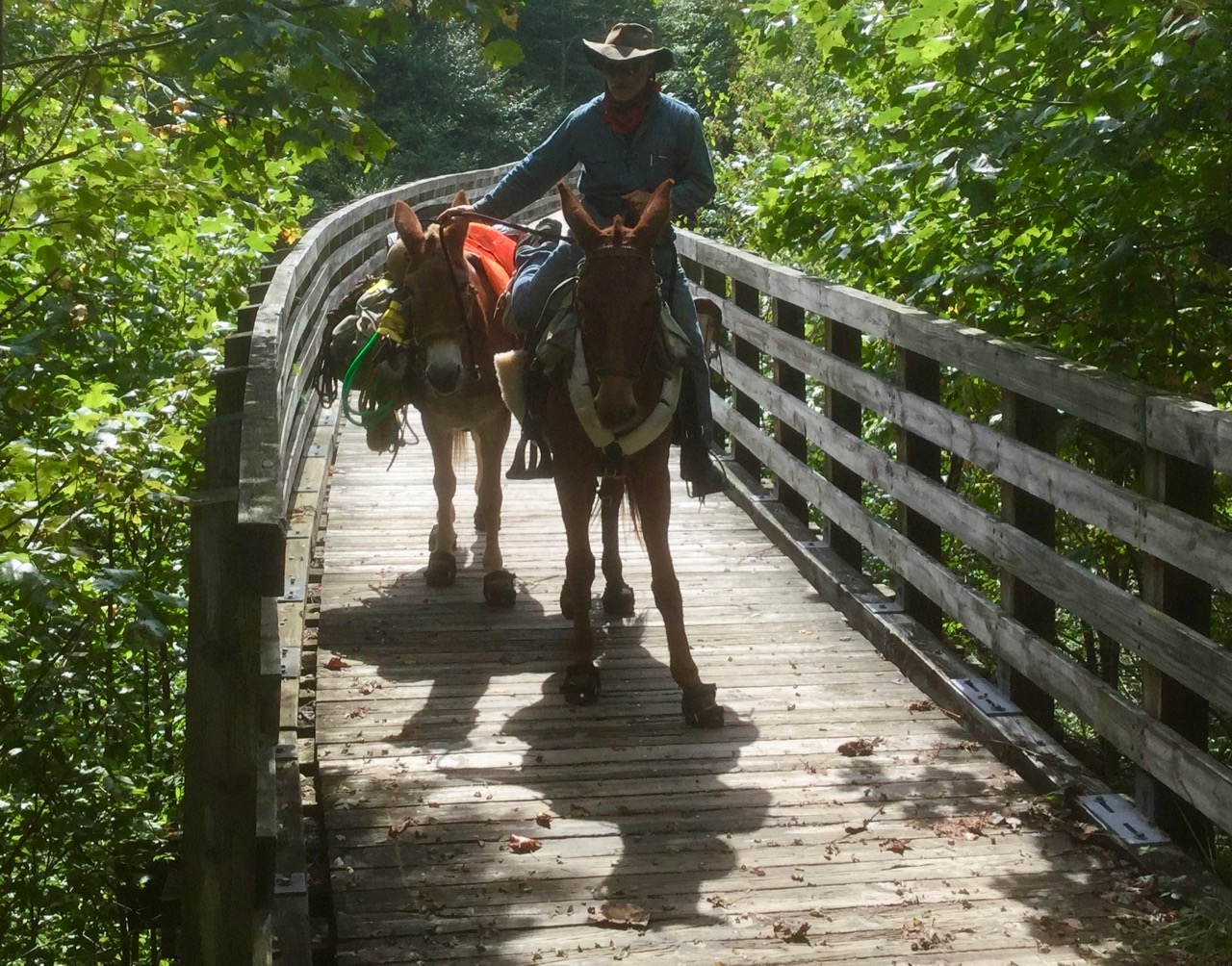 bernie harberts julia caprenter riverearth.com horse camp tent mule trail ride shadow