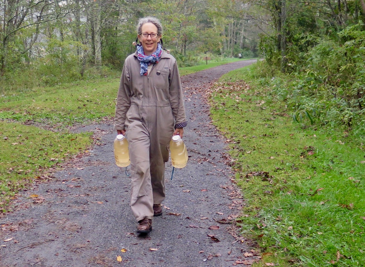 julia carpenter, carrying water