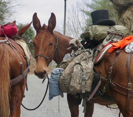 Bernie Harberts, mule, horse, trail ride