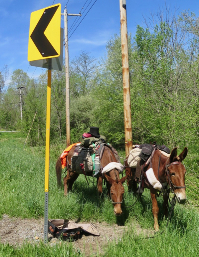 Bernie Harberts, mule, road, sign