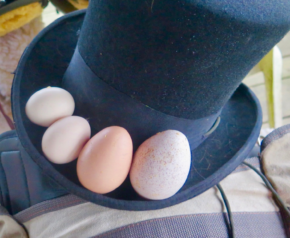 A Top Hat Full of Easter Eggs