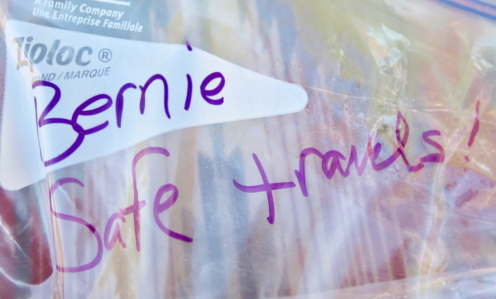 Bernie Harberts, sandwich