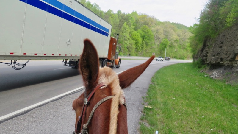 Bernie Harberts, mule, adventure, truck