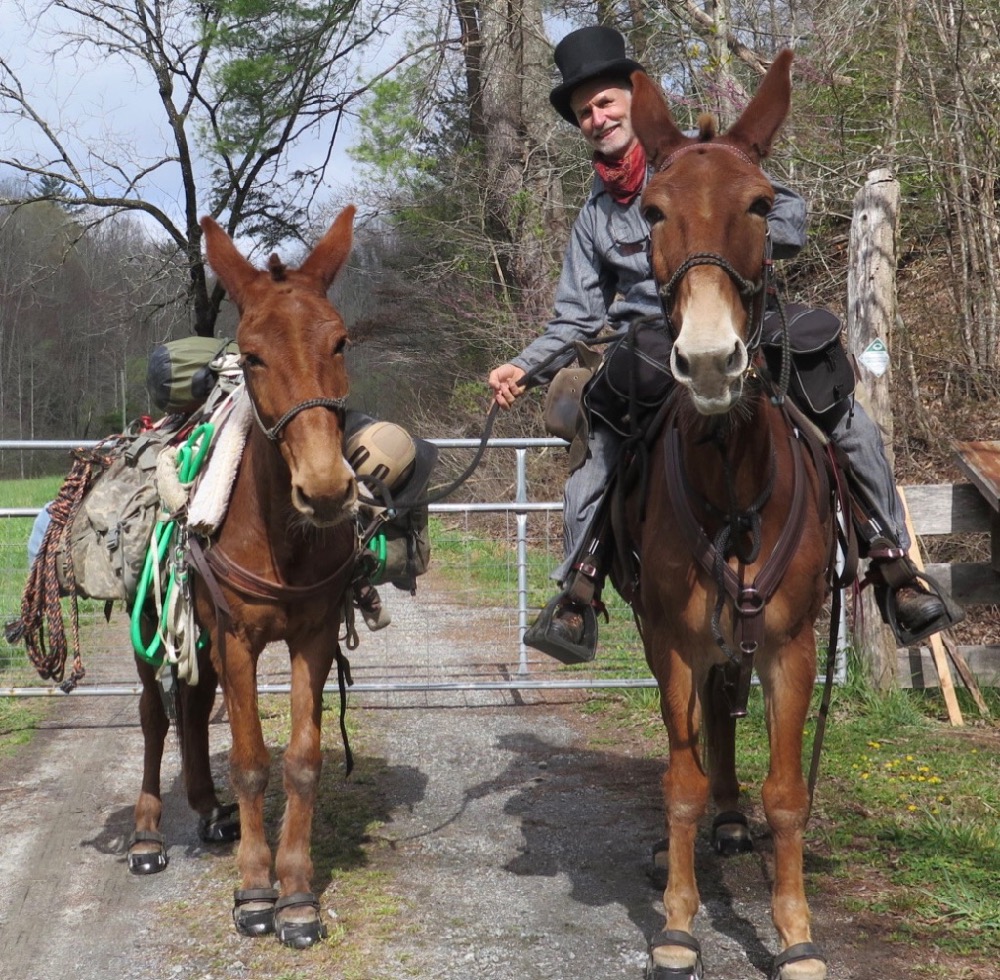 Bernie Harberts, mule, trail ride, adventure, fence 