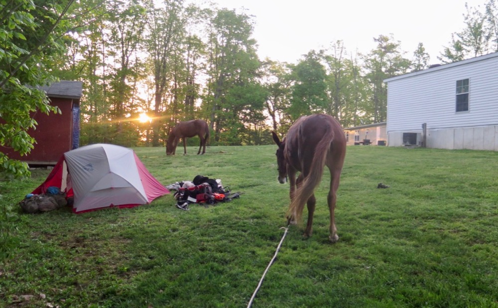 Bernie Harberts, mule travel, adventure, camping, trail ride
