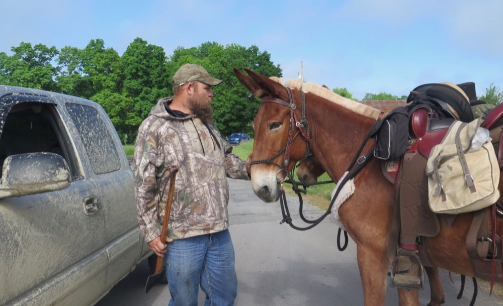 Bernie Harberts, mule, trail ride, shawn pendelton