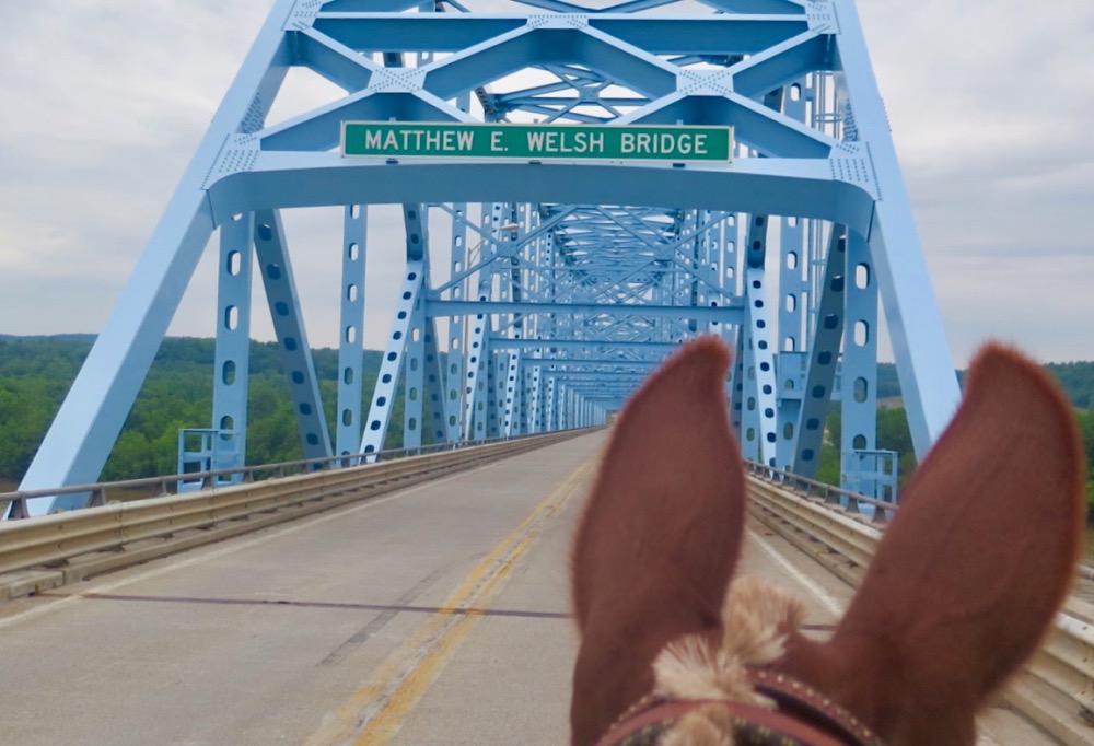 Bernie Harberts, mule, trail ride, ohio river, bridge