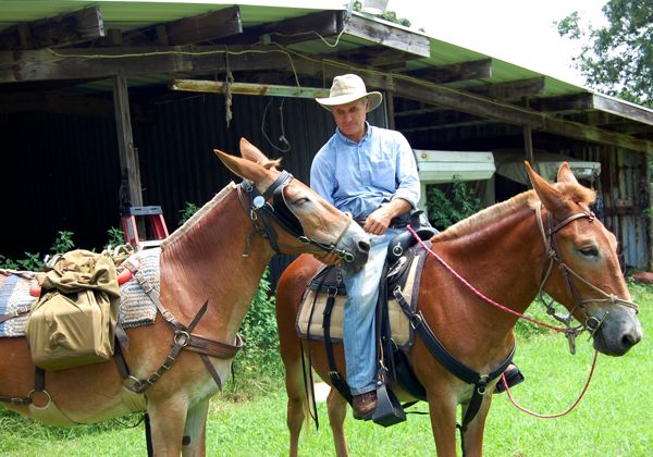 bernie harberts julia carpenter pack saddle bag horse mule packing trailride uwharrie riverearth.com 