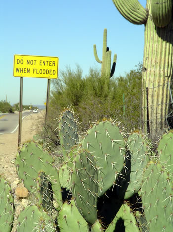 Do Not Enter When Flooded - Saguaro National Monument, AZ