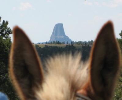 Do you Call it Shark Tooth, Buffalo Horn or Devils Tower?