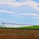 irrigated_fields