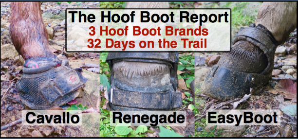 what is the best hoof boot, cavallo hoof boot, renegade hoof boot, easyboot hoof boot, bernie harberts
