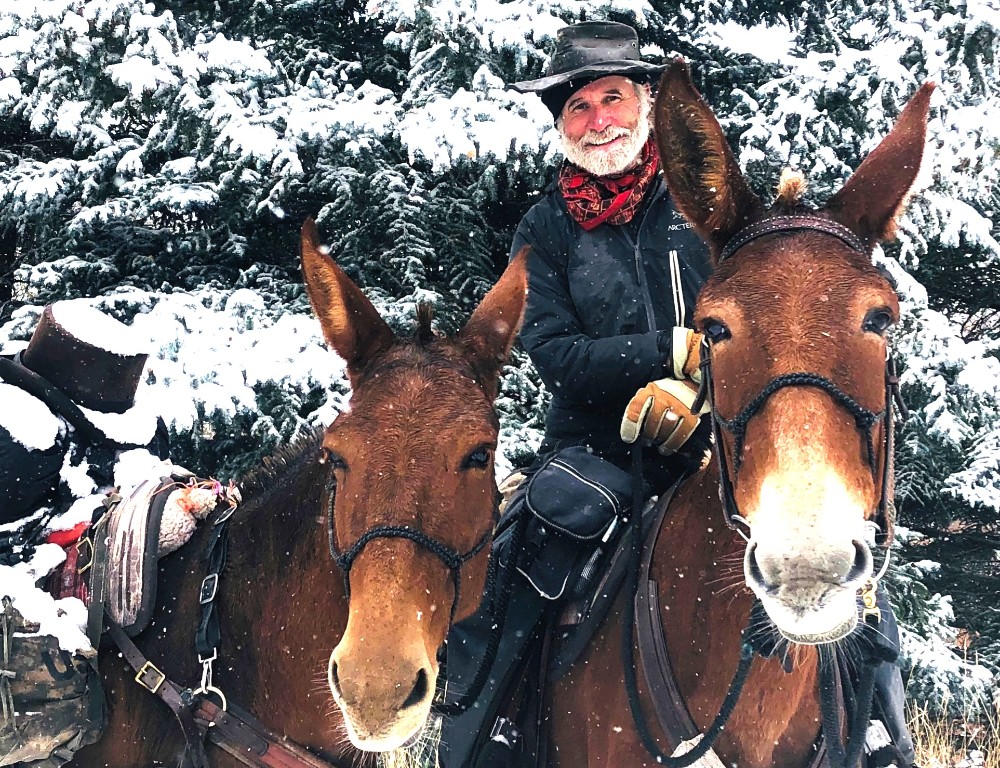 Sought: Ride for 2 Mules from Idaho to North Carolina.
