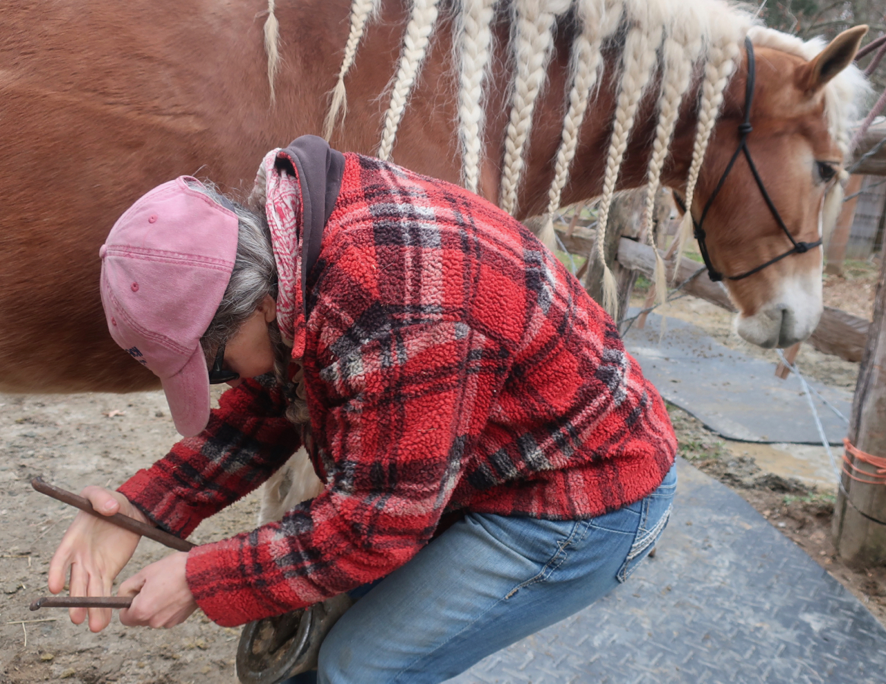 Measuring Pie for Hoof Boots (Part 2 of the 3 Part Series on Transitioning to Hoof Boots)