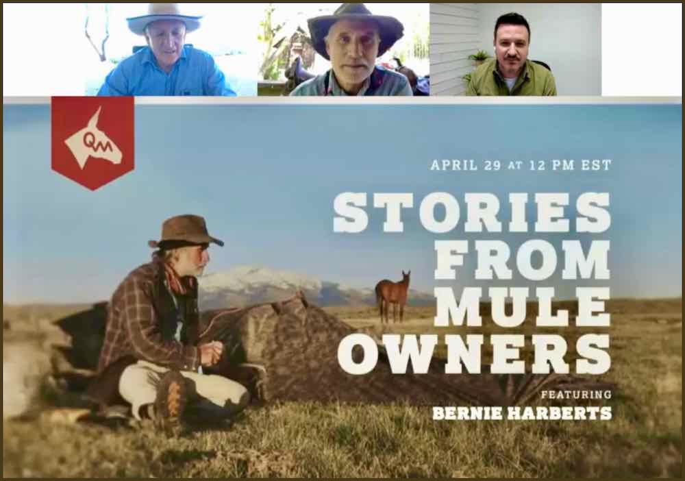 Steve Edwards and I Talk Mule Rambling, Saddles and Hoof Boots