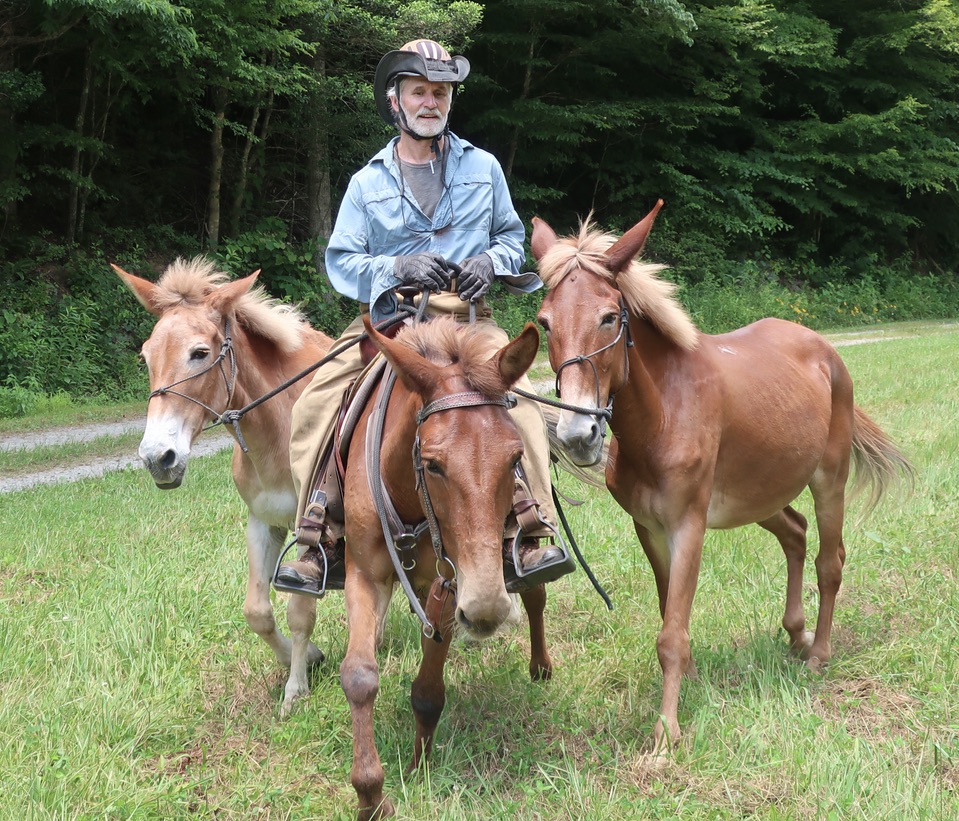 Pony Sunday: How to Exercise Three Mules at Once