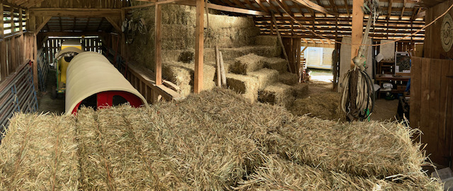 Why You Need a Hay Moisture Meter