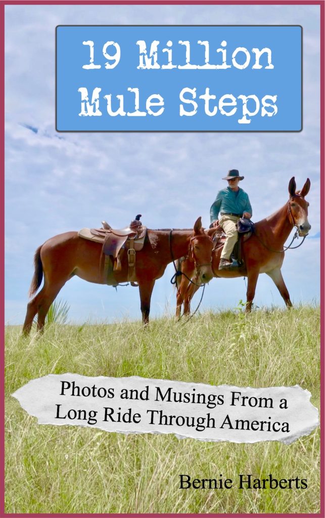 Download Your Free Copy of the "Nineteen Million Mule Steps" Book