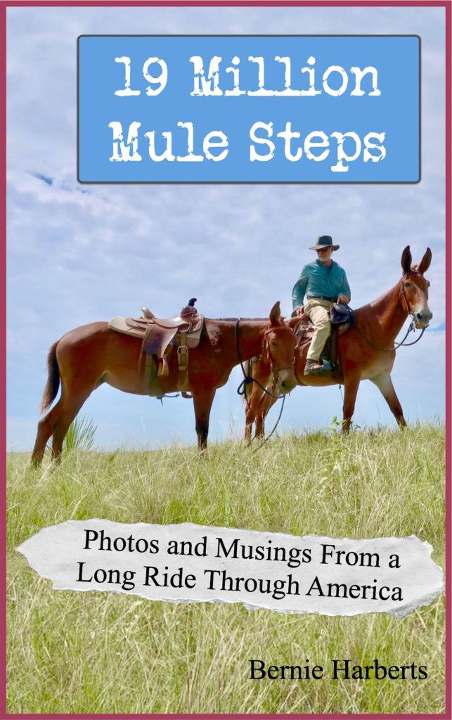 Download Your Copy of "19 Million Mule Steps"