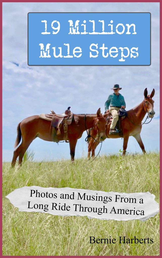 Introducing my new Photo Book "19 Million Mule Steps" (And How to Get a FREE Copy)