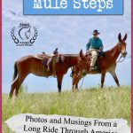 19 Million Mule Steps won the WINNIE for the Literary Nonfiction Adventure category