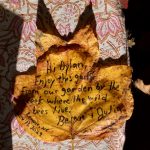 Photo of the Day – Leaf Note to Dylan