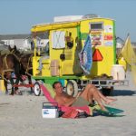 Photo of the Day – Mule Wagon on the Beach