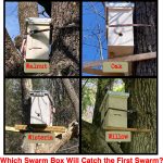 which_swarm_box_will_catch_first_swarm