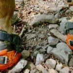 Hoof Boots on the Virginia Highlands Horse Trail: Mules Brick and Cracker at 80 Miles hoof_boots