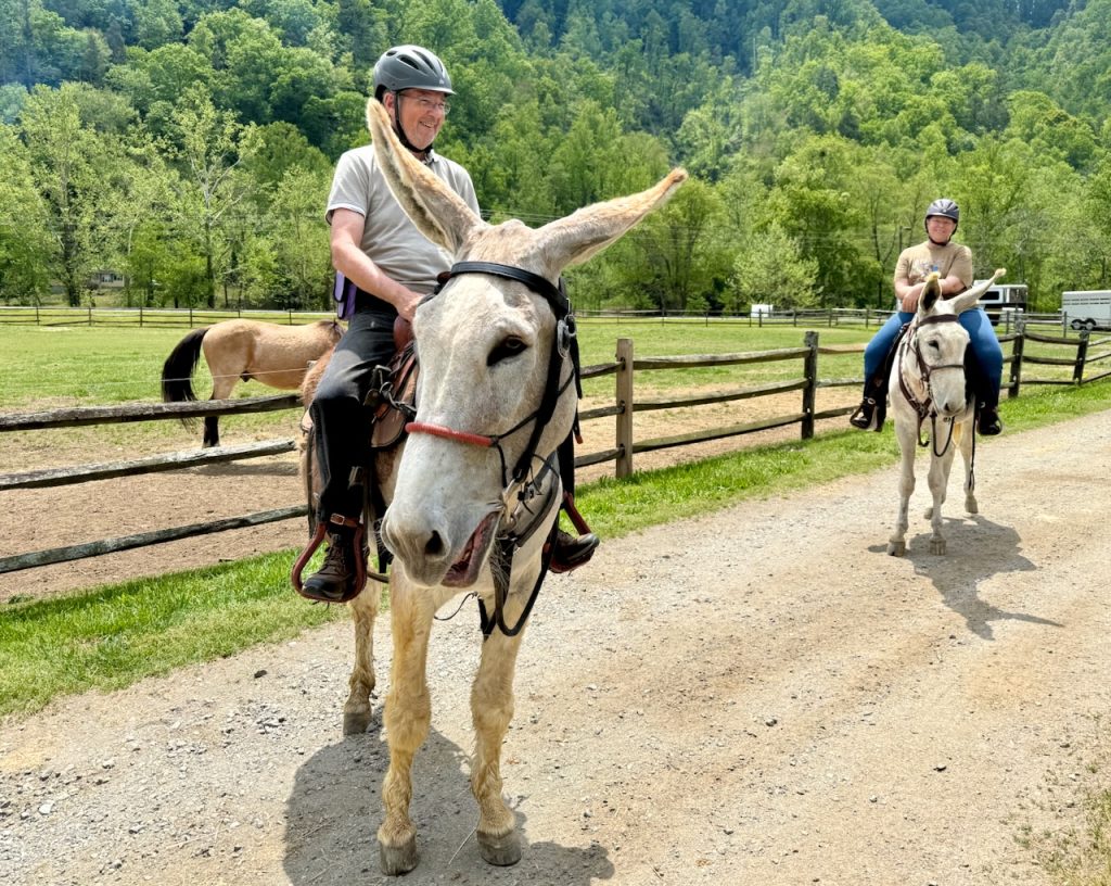 Tollie and Amy Mitchell with their donkeys at Mule Days at Leatherwood