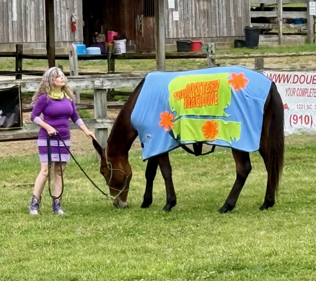 Mystery Machine costume class entry at Mule Days at Leatherwood
