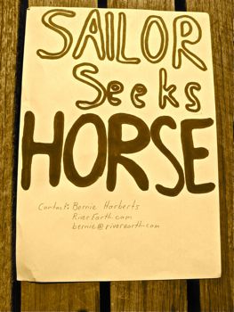 Sailor Seeks Horse: Posting an Ad at the Red Velvet Lounge