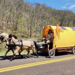 heading_up_road_in_mustard_seed