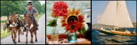Bernie Harberts riding mules, flowers from the homestead, and sailboat Sea Bird — adventures by horse, mule, sail and homestead