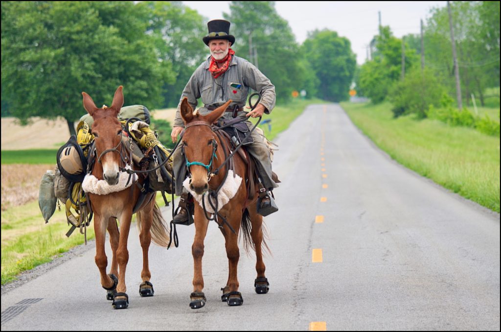 Bernie Harberts wearing a top hat riding his mules Brick and Cracker up a Kentucky highway