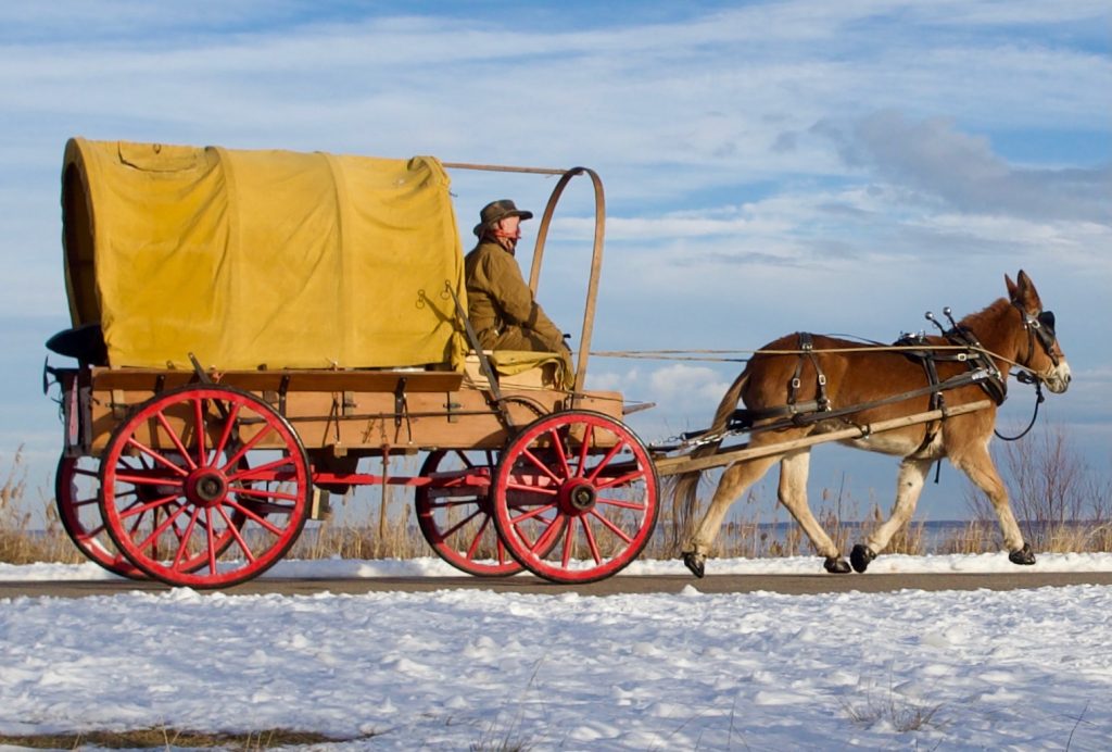 Mule Polly and Bernie Harberts trotting along Lake Mattamuskeet during the filming of PBS NC's Swan Song.
