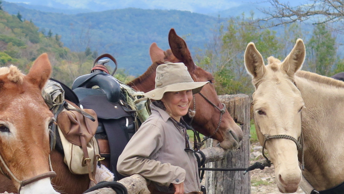 Julia Carpenter with mules Brick, Dusty and Polly in the Virginia Highlands, Ride Out the Front Gate